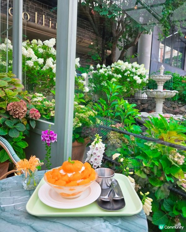 首爾弘大花花Cafe☕️🌸🌸
