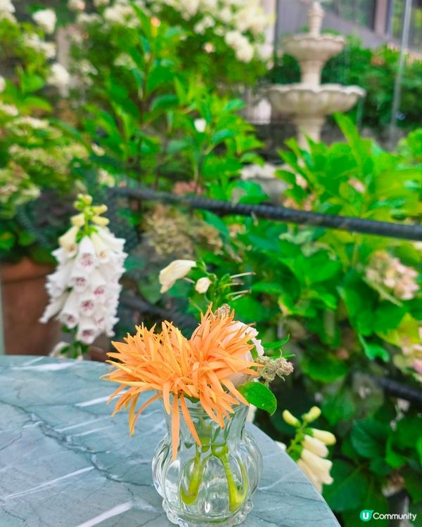 首爾弘大花花Cafe☕️🌸🌸