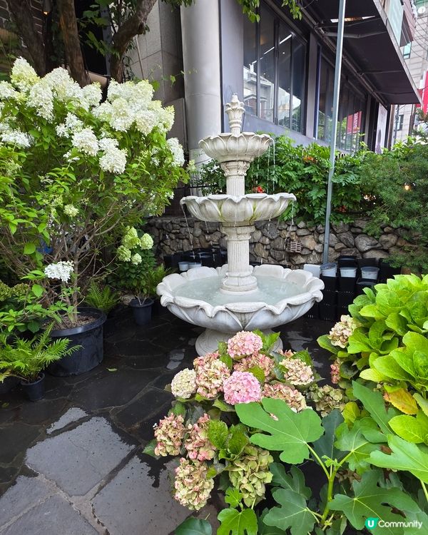 首爾弘大花花Cafe☕️🌸🌸