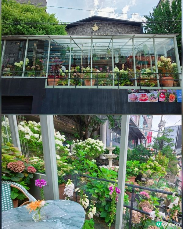 首爾弘大花花Cafe☕️🌸🌸