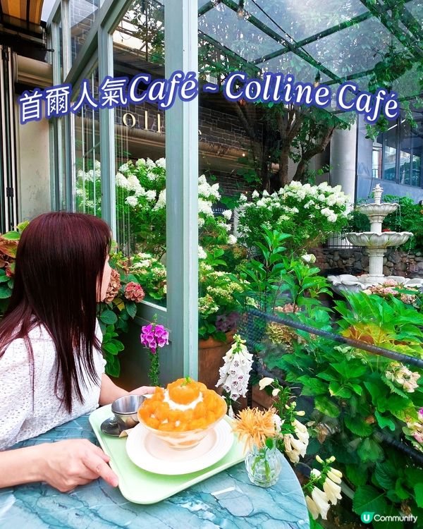 首爾弘大花花Cafe☕️🌸🌸
