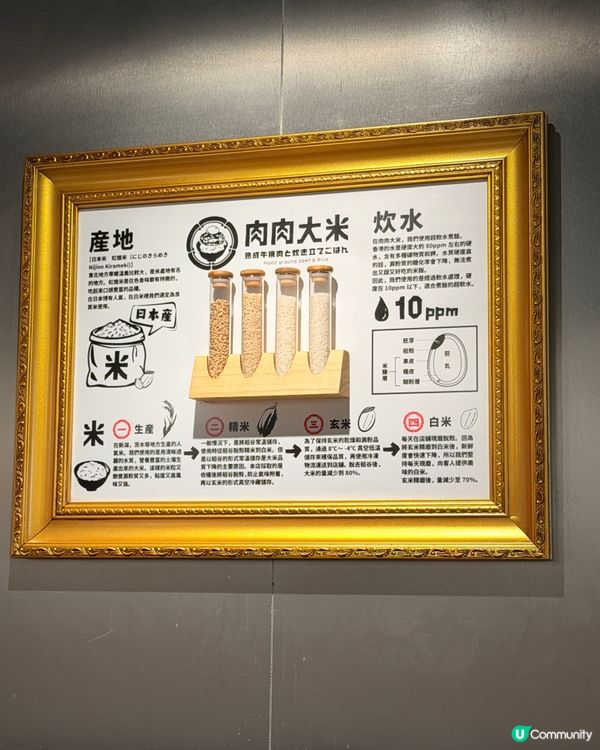 🔥 沙田爆汁漢堡排 🥩 白飯蔬菜免費無限續!