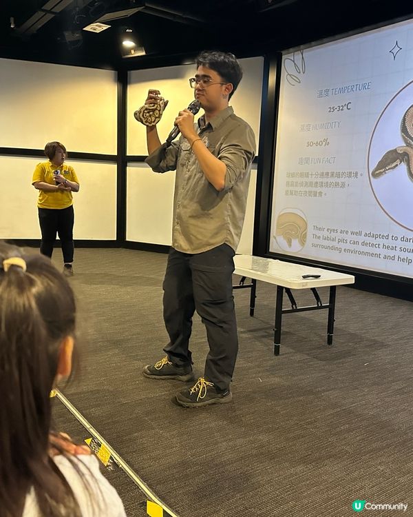 挪亞方舟 職感實驗室2.0:玩轉暑假