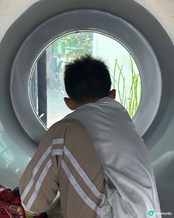 暑假台中五天家庭遊