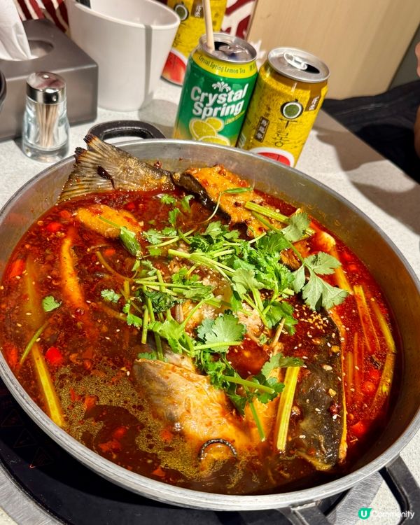 任飲任食港式火鍋+6款煲物🍲