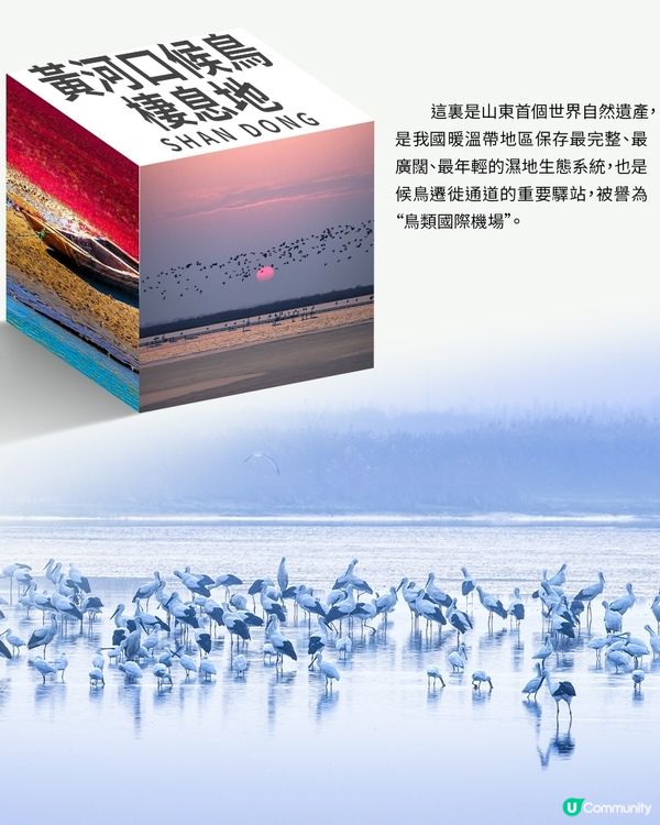 港澳遊山東，不可錯過的那些世界遺產