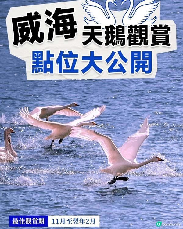 港澳遊山東必看！威海藏著冬天最治癒的畫面