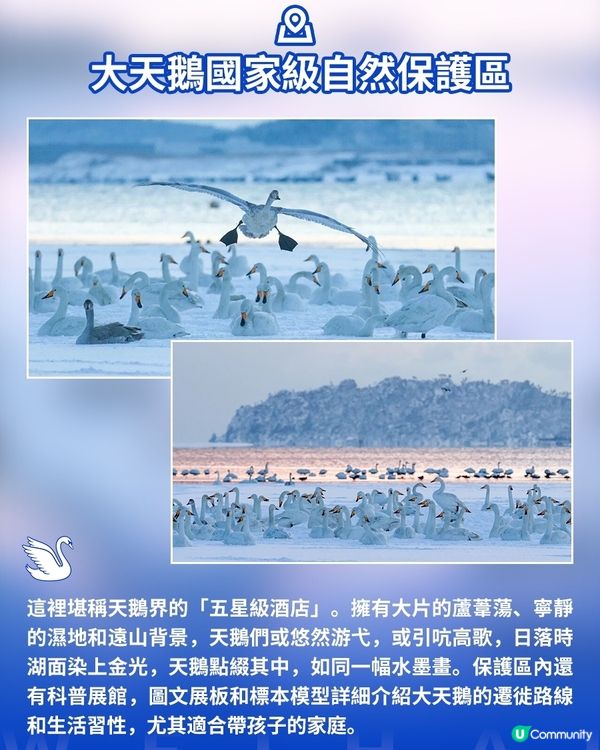 港澳遊山東必看！威海藏著冬天最治癒的畫面
