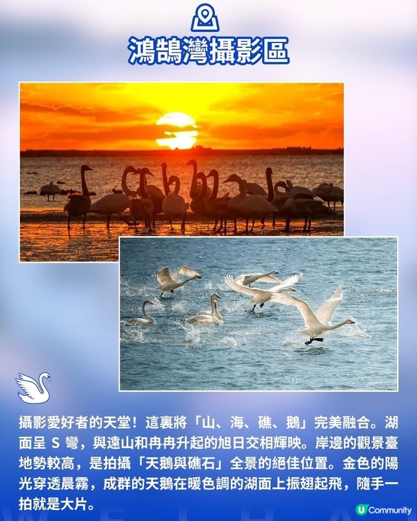 港澳遊山東必看！威海藏著冬天最治癒的畫面