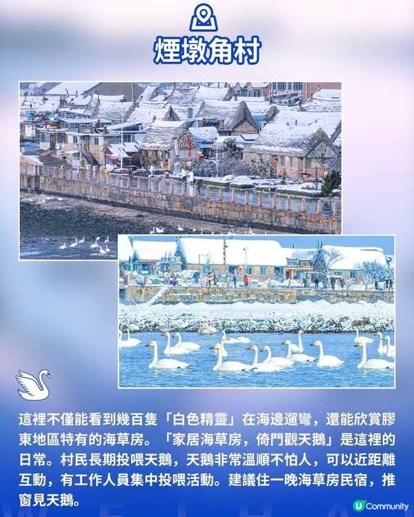 港澳遊山東必看！威海藏著冬天最治癒的畫面