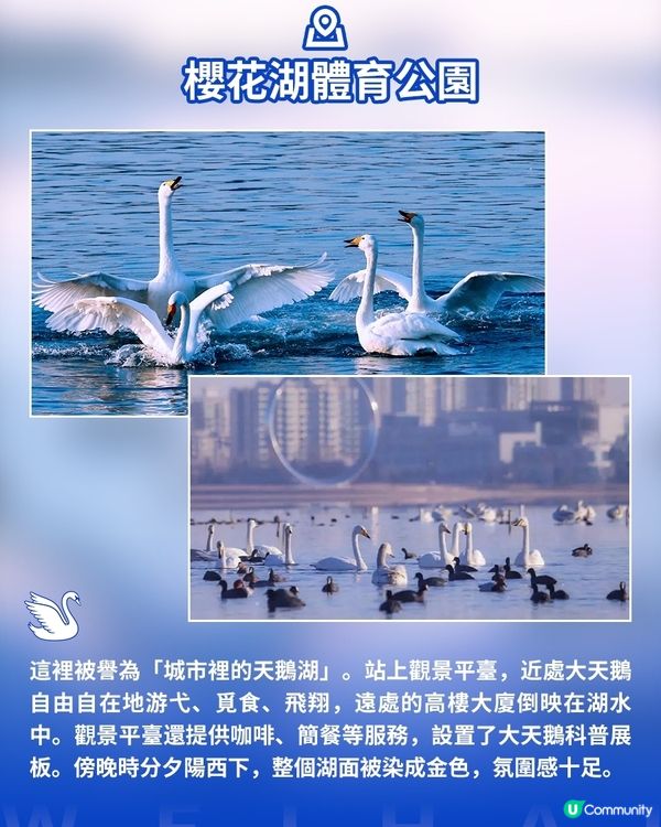 港澳遊山東必看！威海藏著冬天最治癒的畫面