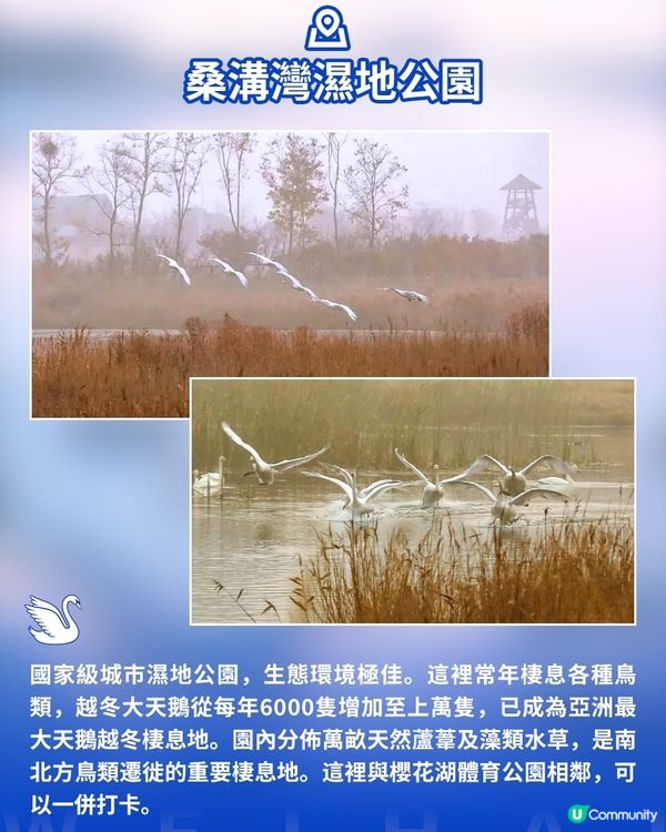 港澳遊山東必看！威海藏著冬天最治癒的畫面