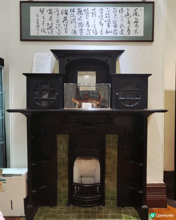 香港醫學博物館展出中藥標本、傳統製藥工具，並設有互動測驗與遊...