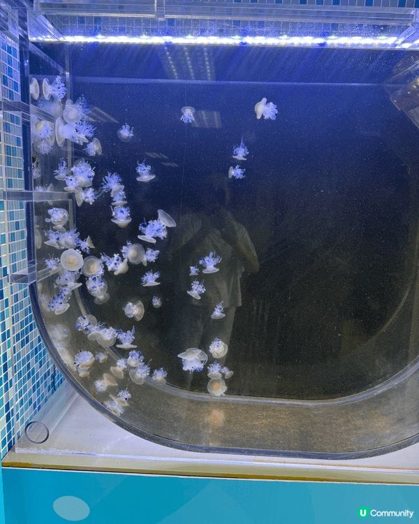 珠海長隆海洋世界 