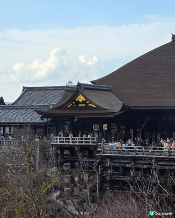 我和家人帶小朋友去京都，清水寺和伏見稻荷大社（狐狸神社）絕對...