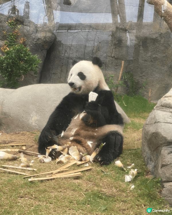 海洋公園絕對係首選，小朋友認識不同動物，進行有趣的互動遊戲和...