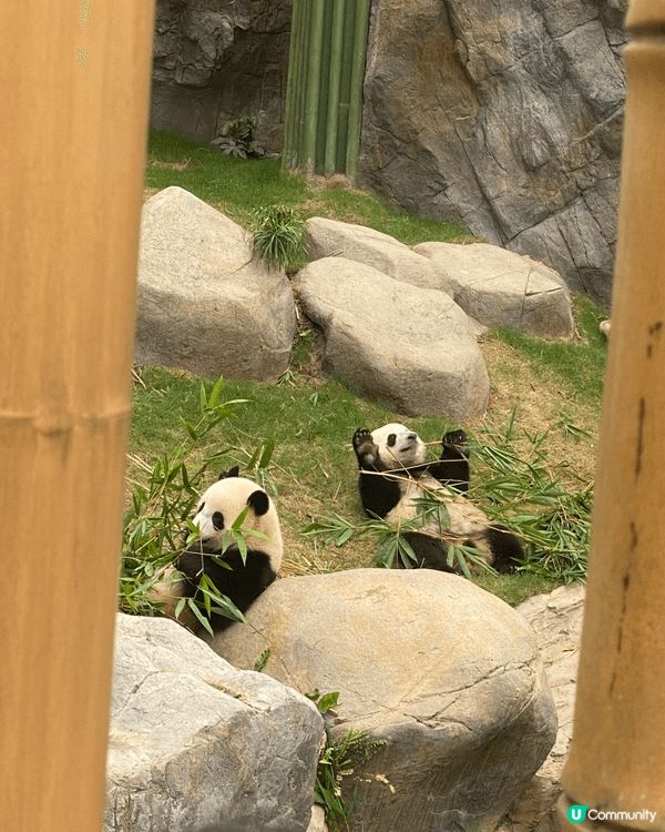 海洋公園絕對係首選，小朋友認識不同動物，進行有趣的互動遊戲和...
