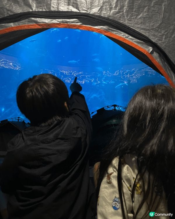海洋公園快閃海洋夜：唯一香港水族館過夜嘅黃金記憶球之旅