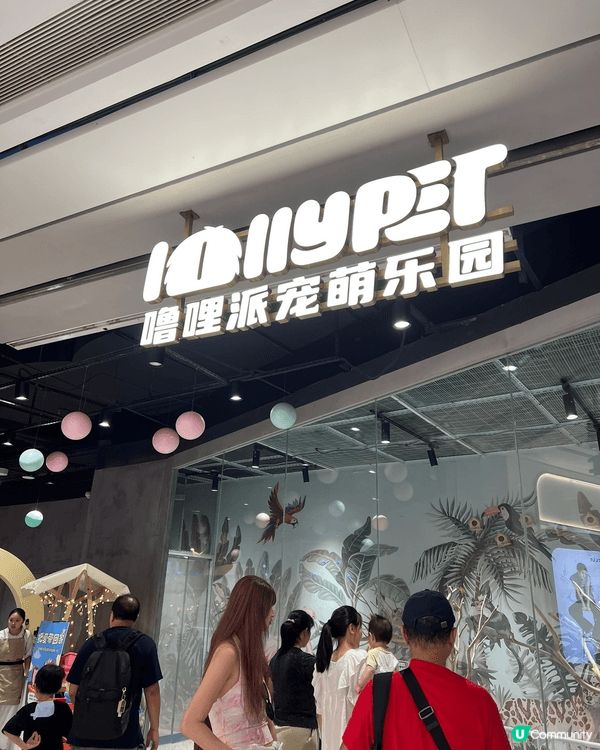 深圳中航城寵萌樂園, 有可愛的水豚君, 仲要所有動物都可以抱...