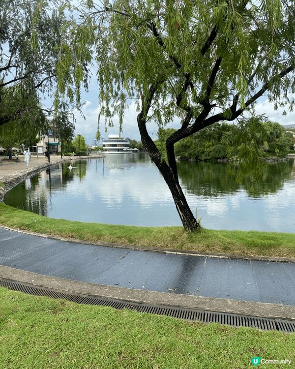 錦繡花園湖畔非常適合帶仔仔睇天鵝、散步曬太陽，戶外放電完，真...