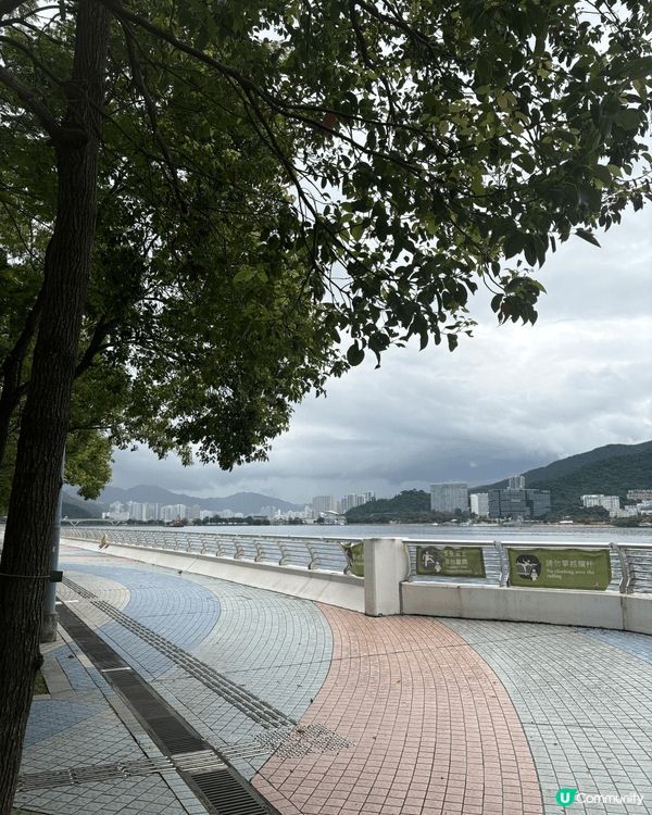 科學園金蛋同馬鞍山海濱絕對係放電必去！