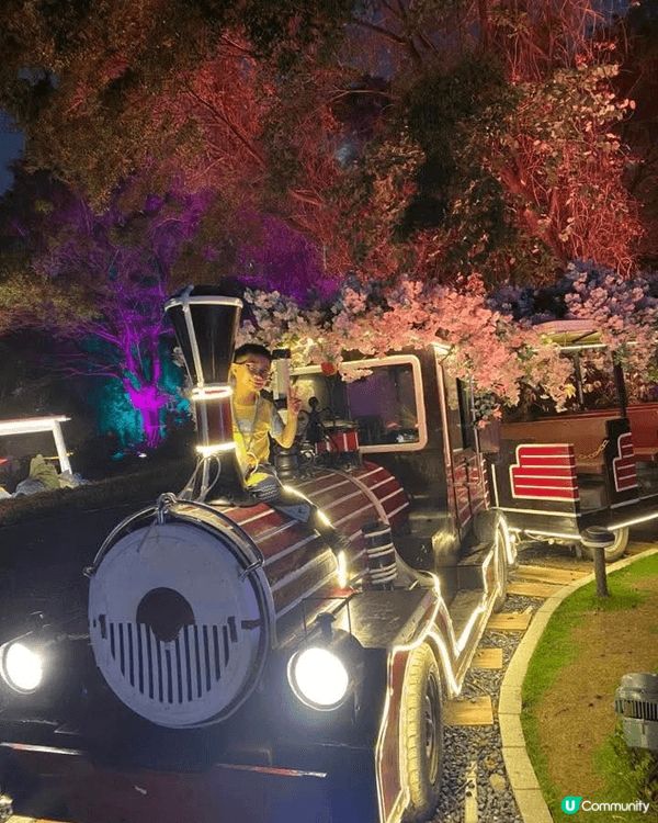 迪迪尼樂園 東莞版
