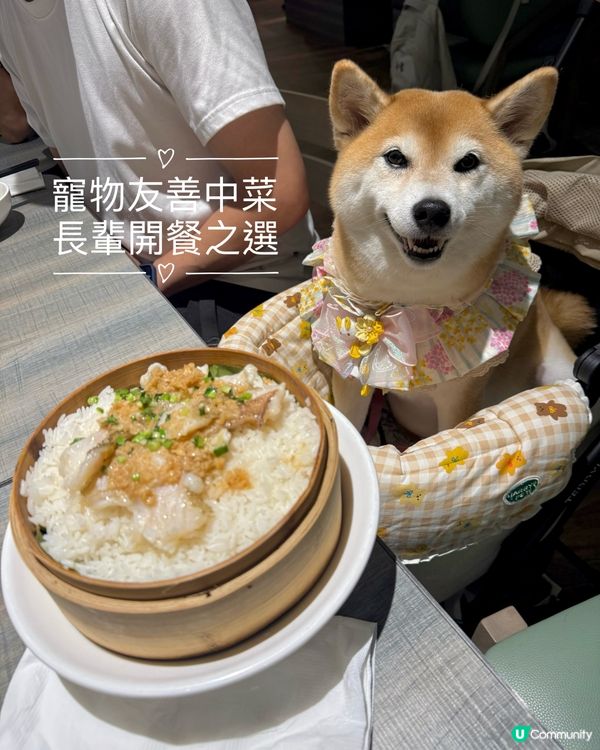 ✨新派潮州菜館·帶長輩去開餐🥢