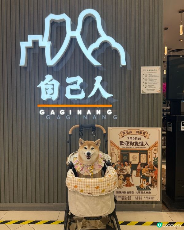 ✨新派潮州菜館·帶長輩去開餐🥢