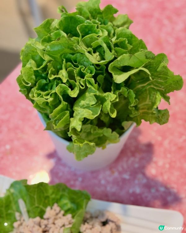 🔥 【九龍城地道泰菜】金麥泰泰國菜館 🇹🇭 泰國華僑二代經營...