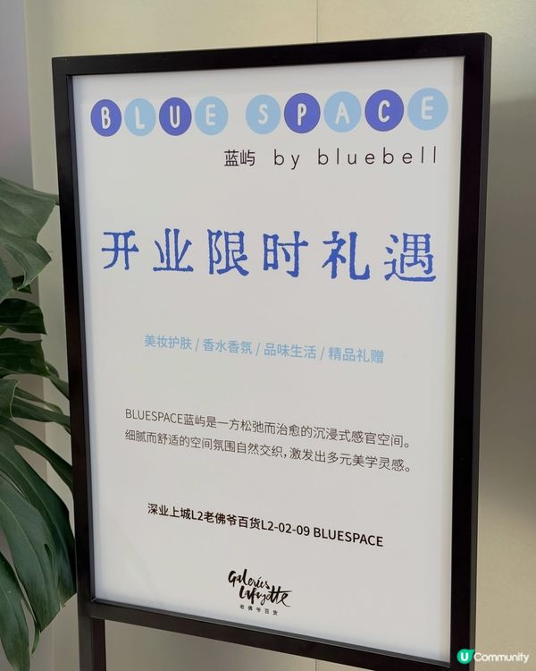 ✨ 【深圳週末Chill爆打卡位】隱世質感小眾店!沉浸式療癒...