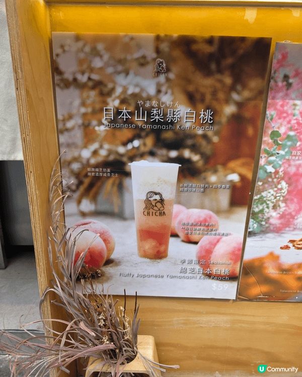 茶痴 (福昌大廈)