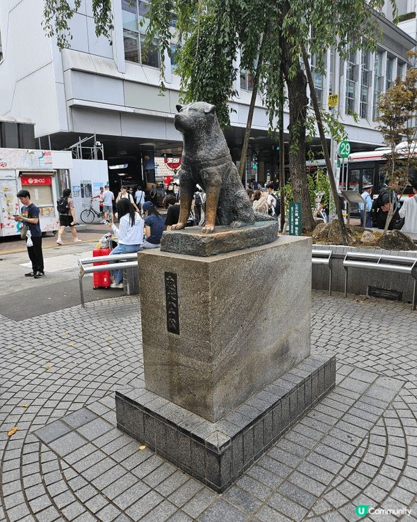 置身於日本東京澀谷街頭真係好開心，平日去都非常熱鬧，人頭湧湧...