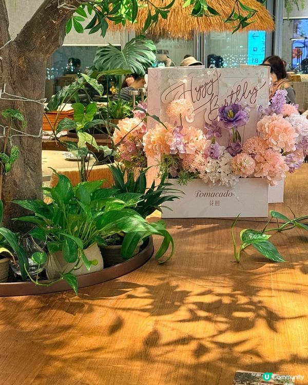 🌿 花廚 Café | 森林入面嘅光影餐桌