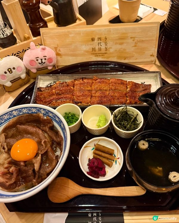 ✨日本老字號過江龍🇯🇵備長炭現烤鰻魚❤️無敵維港海景🌃
