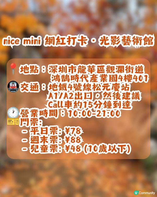 深圳新秋季主題打卡地！1000㎡金黃銀杏樹林🍂附5大打卡位