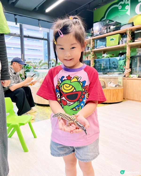 IG免費名額✨My Mini Zoo 同小動物近距離接觸💖