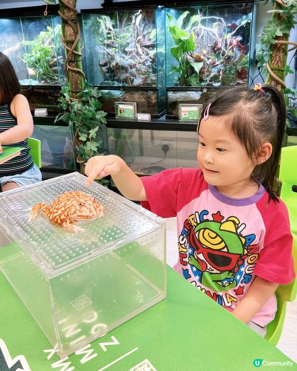 IG免費名額✨My Mini Zoo 同小動物近距離接觸💖