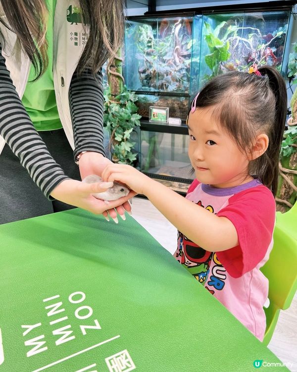 IG免費名額✨My Mini Zoo 同小動物近距離接觸💖