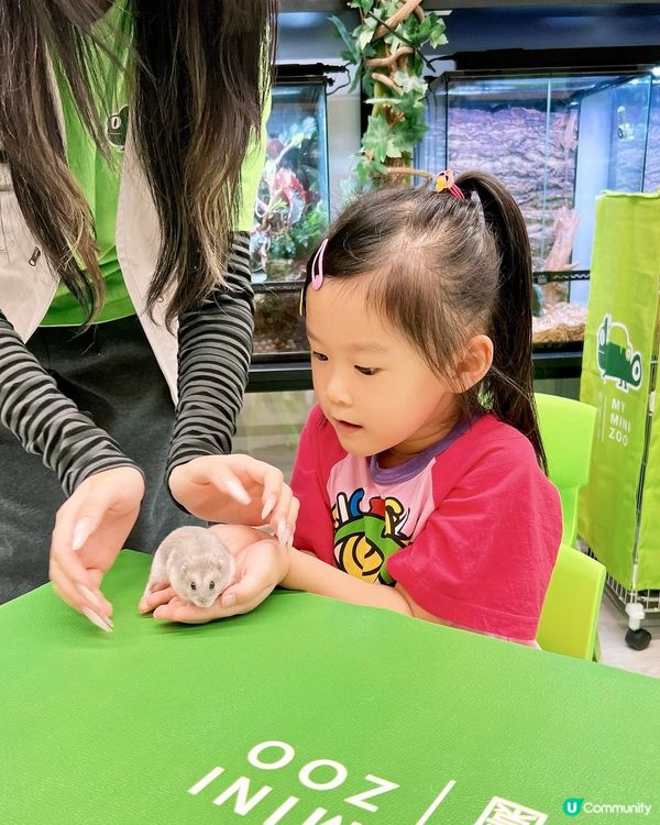 IG免費名額✨My Mini Zoo 同小動物近距離接觸💖