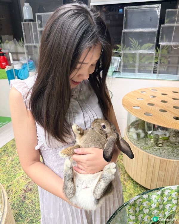 同小動物享受chill time! 🐰🦎