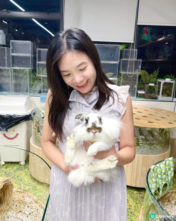 同小動物享受chill time! 🐰🦎
