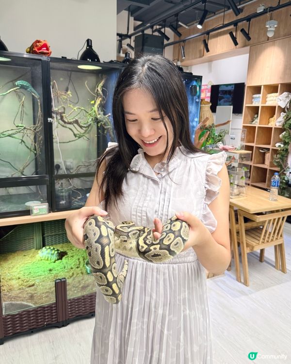 同小動物享受chill time! 🐰🦎