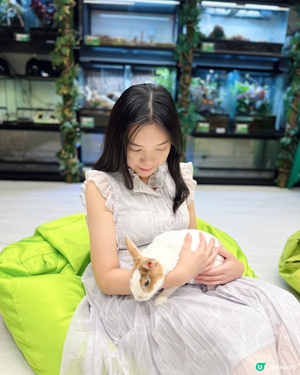 同小動物享受chill time! 🐰🦎