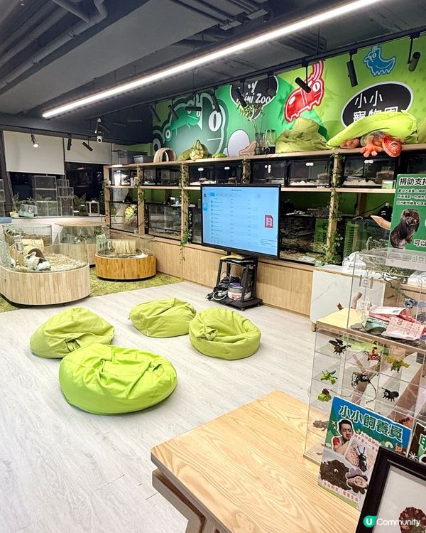 同小動物享受chill time! 🐰🦎