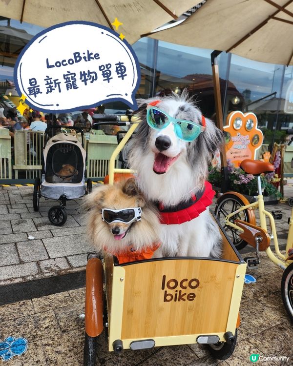 人寵親子單車同樂節
