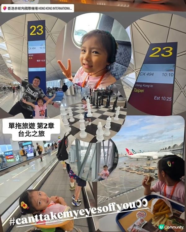 暑假限定之台北親子遊 👨‍👧✈️🐼🐝🦫🐻