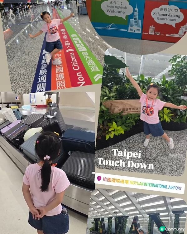 暑假限定之台北親子遊 👨‍👧✈️🐼🐝🦫🐻