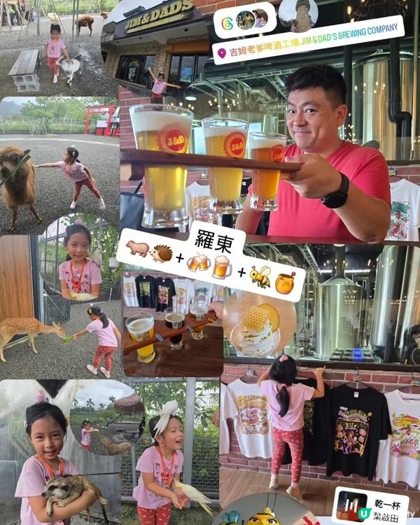 暑假限定之台北親子遊 👨‍👧✈️🐼🐝🦫🐻