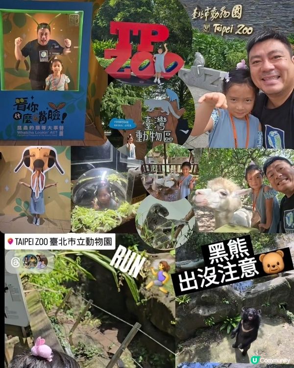 暑假限定之台北親子遊 👨‍👧✈️🐼🐝🦫🐻