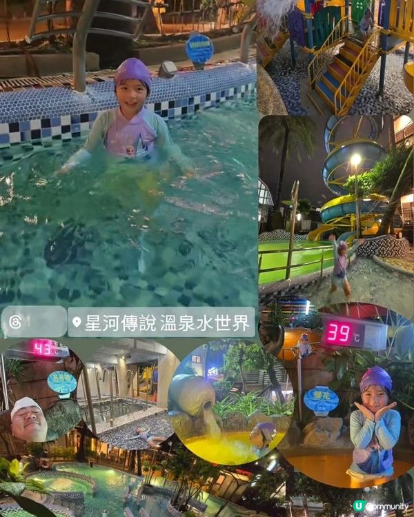 暑假限定之台北親子遊 👨‍👧✈️🐼🐝🦫🐻